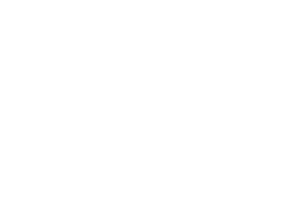 Logo - Char-Griller