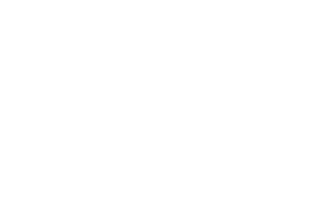 Logo - Napoleon