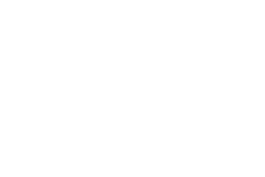 Logo - The bastard